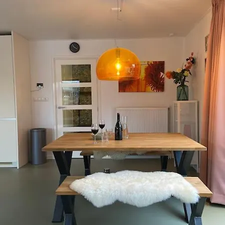 Unieke Woonark Met Privetuin En Free Parking. Lejlighed Rotterdam